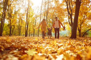 Fall Activities Near East Gwillimbury: Embrace the Autumn Magic
